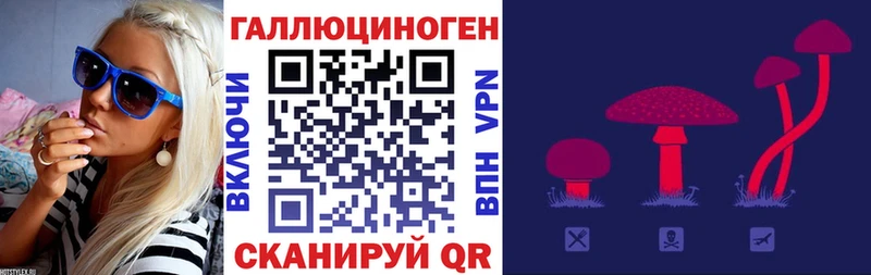 как найти наркотики Кудрово Псилоцибиновые грибы ЛСД